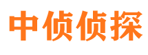 贡井市婚外情调查